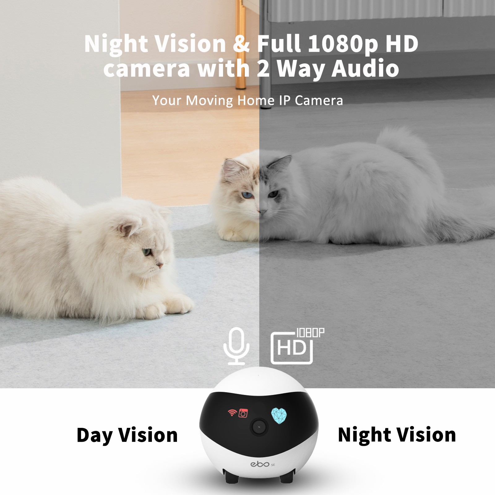 Robot Pendamping Rumah Pintar  - Home Security Robots ulasan dan harga